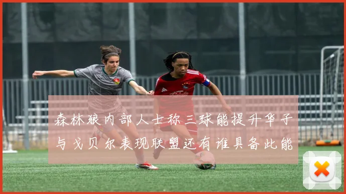 森林狼内部人士称三球能提升华子与戈贝尔表现联盟还有谁具备此能力