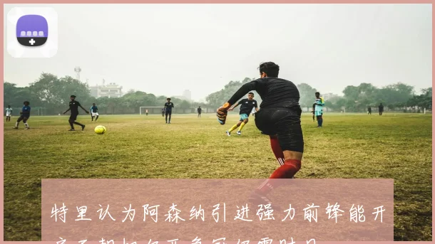 特里认为阿森纳引进强力前锋能开启王朝切尔西争冠仍需时日