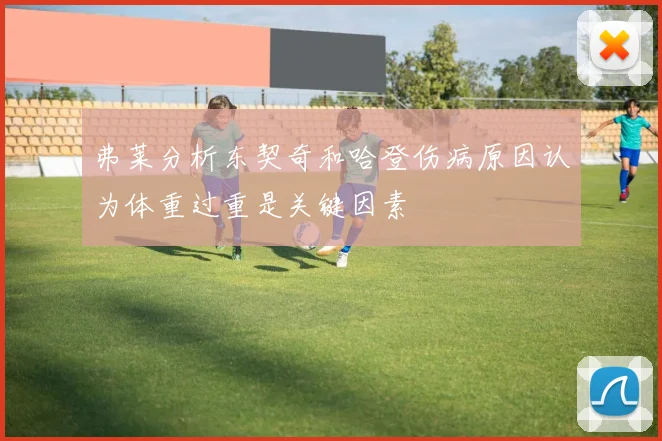 弗莱分析东契奇和哈登伤病原因认为体重过重是关键因素